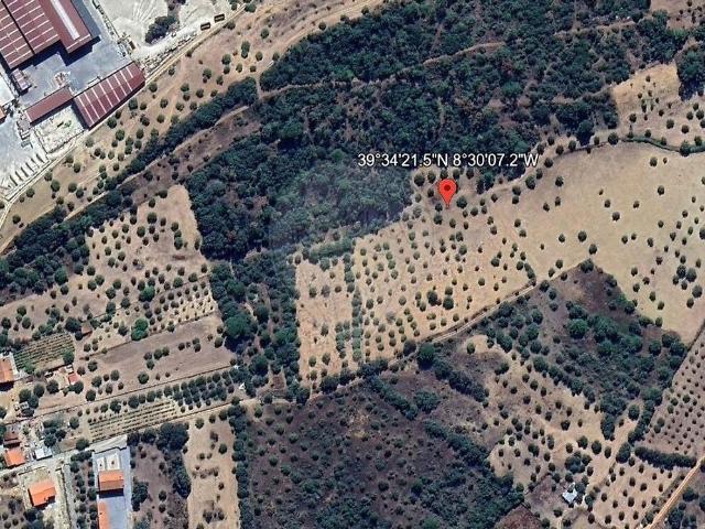 Terreno venda em Assentiz, Torres Novas