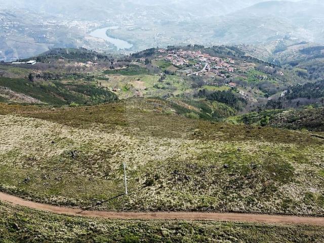 Terreno venda em Avões, Lamego