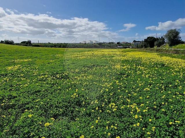 Terreno venda em Aveiras de Cima, Azambuja