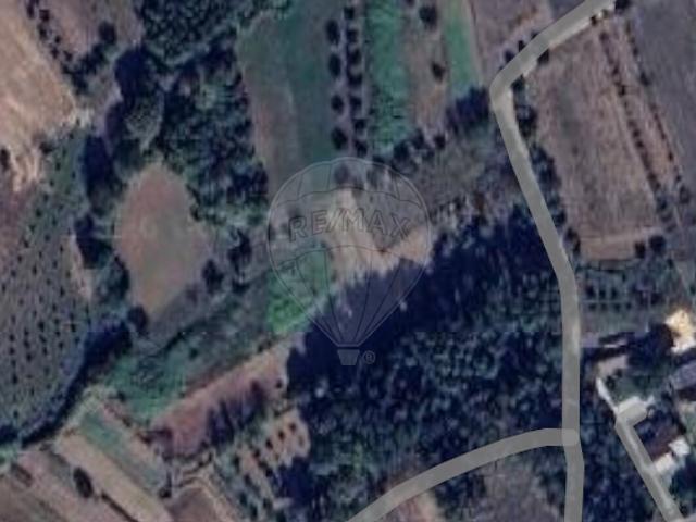 Terreno venda em Avelãs de Cima, Anadia