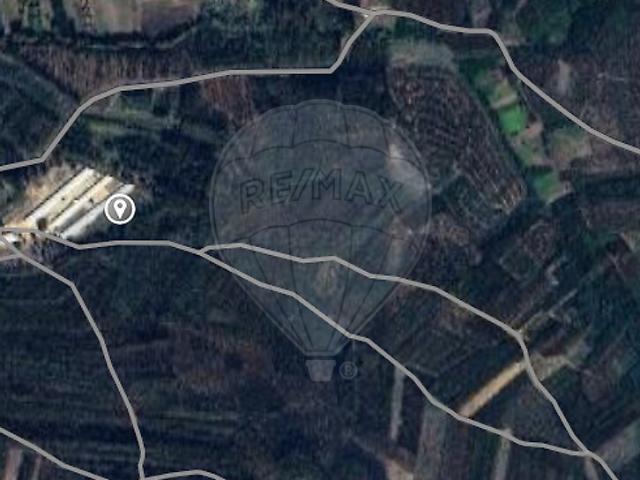 Terreno venda em Avelãs de Cima, Anadia