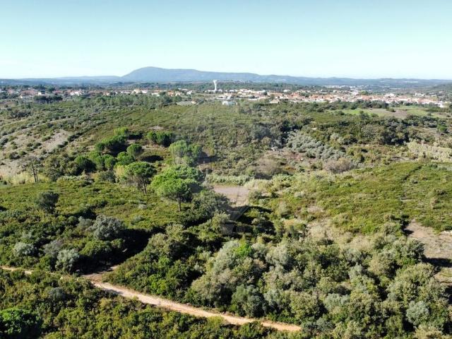 Terreno venda em Azambuja, Lisboa