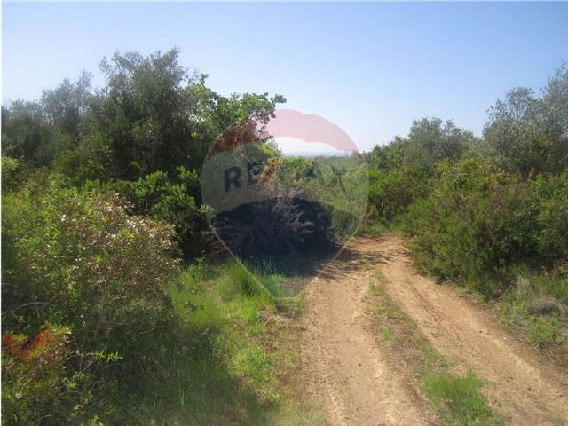 Terreno venda em Azambuja, Lisboa