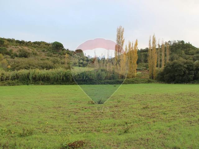Terreno venda em Azambuja, Lisboa