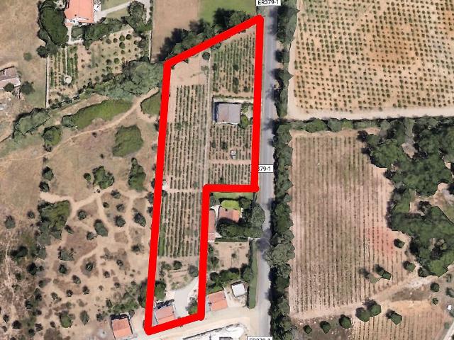 Terreno venda em Azeitão (São Lourenço e São Simão), Setúbal