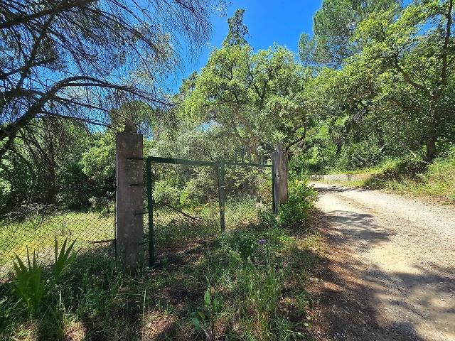 Terreno venda em Azeitão (São Lourenço e São Simão), Setúbal