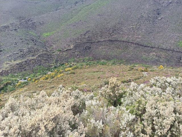 Terreno venda em Mafómedes, Baião
