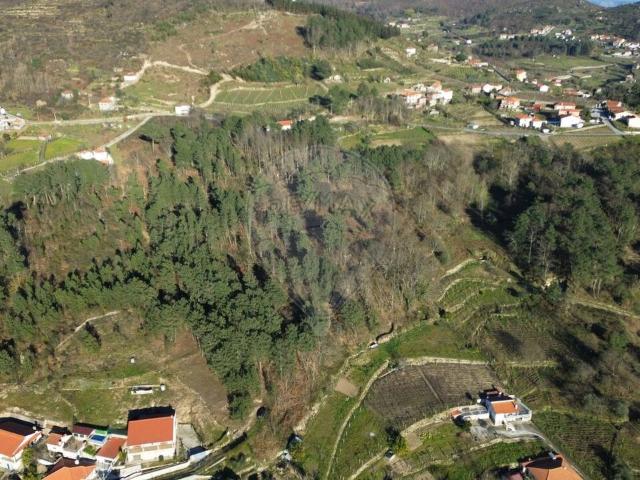 Terreno venda em Baião, Porto