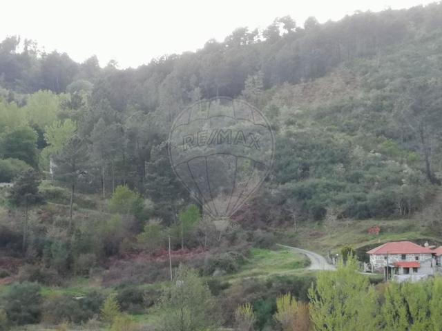 Terreno venda em Baião, Porto
