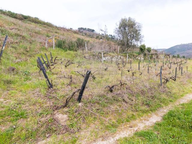Terreno venda em Baião, Porto