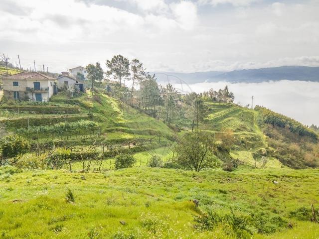 Terreno venda em Baião, Porto