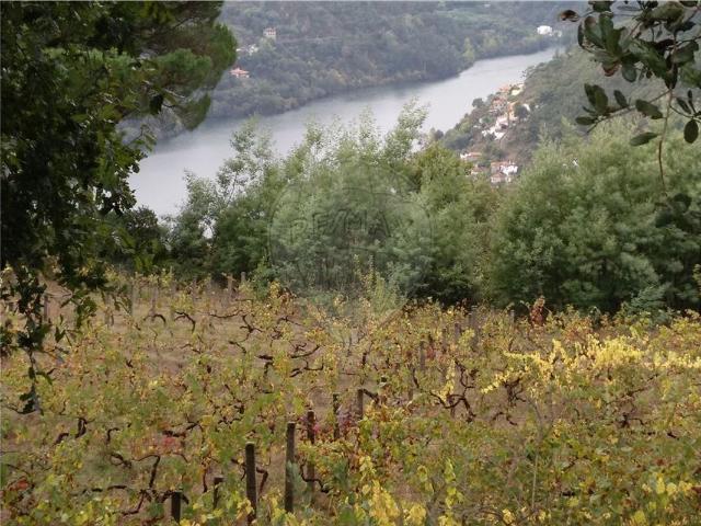 Terreno venda em Paredes de Cima, Baião