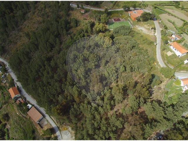 Terreno venda em Paredes de Cima, Baião