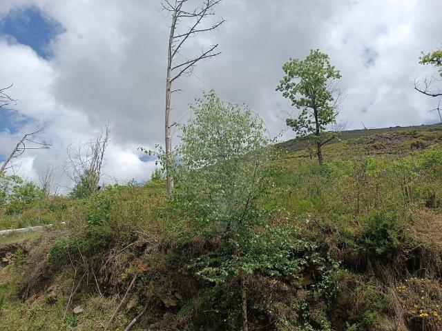 Terreno venda em Mafómedes, Baião