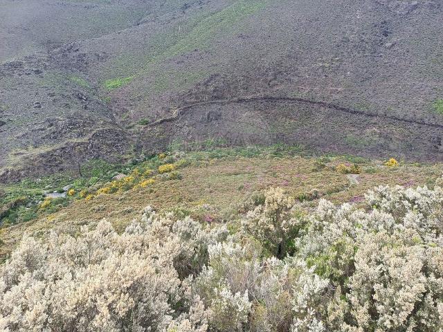 Terreno venda em Mafómedes, Baião