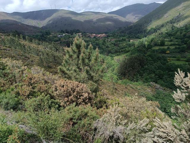 Terreno venda em Mafómedes, Baião