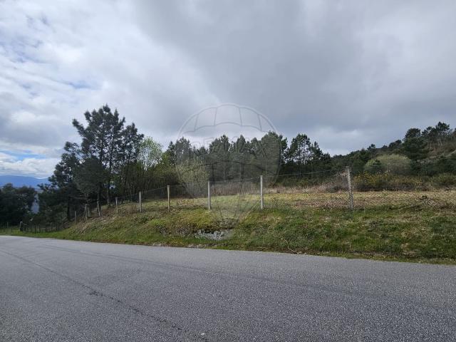 Terreno venda em Pedreda, Baião