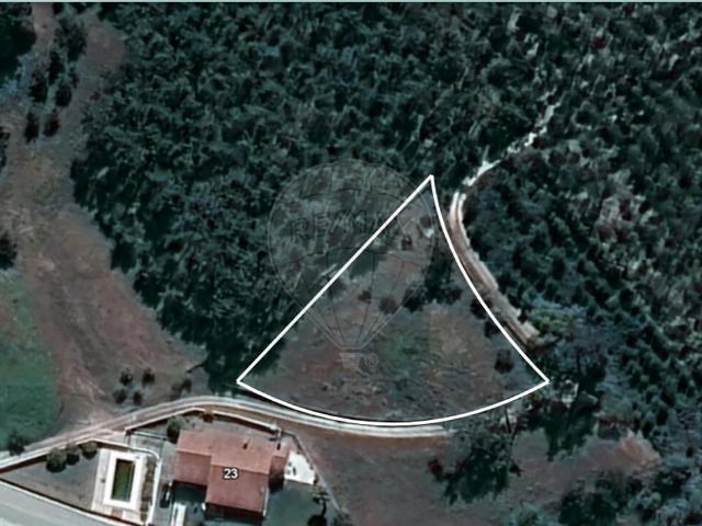 Terreno venda em Bajouca, Leiria