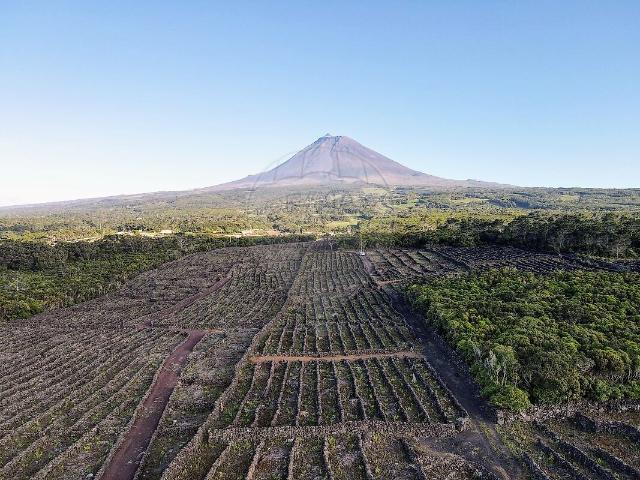 Terreno venda em Bandeiras, Madalena