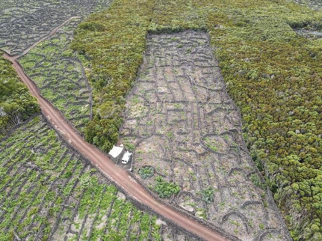 Terreno venda em Bandeiras, Madalena