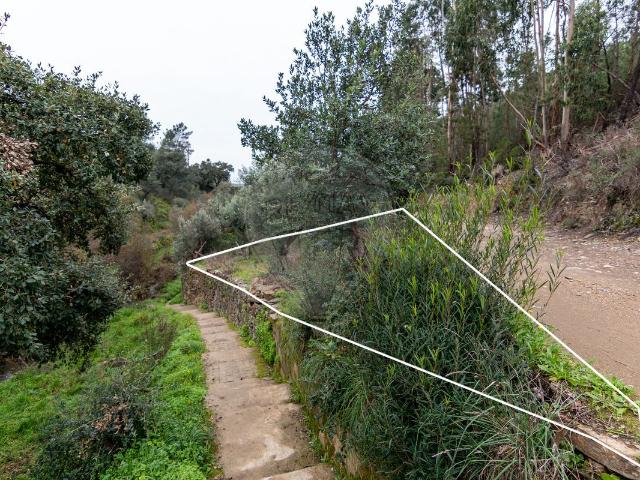 Terreno venda em Castelo Branco