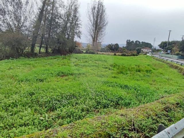 Terreno venda em Ucha, Arcozelo