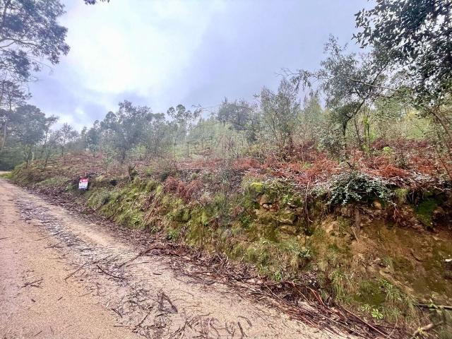 Terreno venda em Lama, Arcozelo