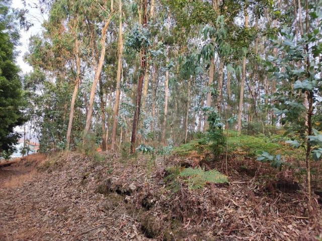 Terreno venda em Arcozelo, Braga