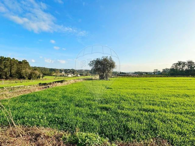 Terreno venda em Arcozelo, Braga