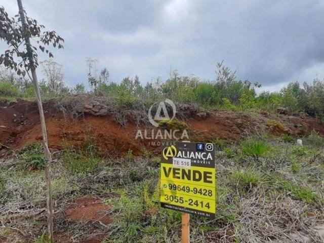Terreno venda em Região Geográfica Imediata de Bento Gonçalves, Bento Gonçalves