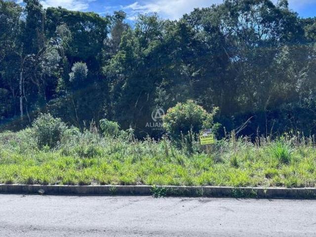 Terreno venda em Região Geográfica Imediata de Bento Gonçalves, Bento Gonçalves