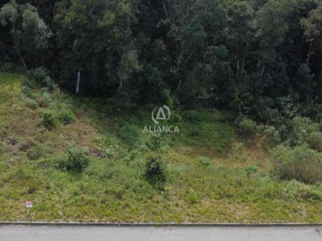 Terreno venda em Região Geográfica Imediata de Bento Gonçalves, Bento Gonçalves