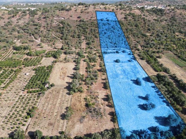 Terreno venda em Rega, São Bartolomeu De Messines