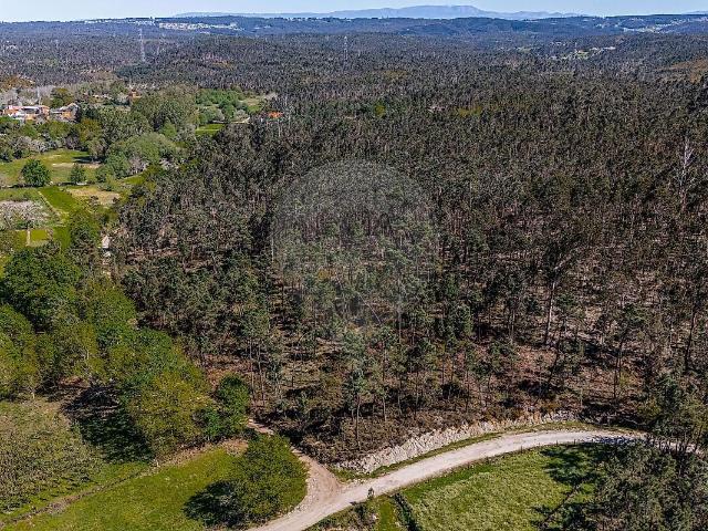 Terreno venda em Barreiro de Besteiros, Tondela