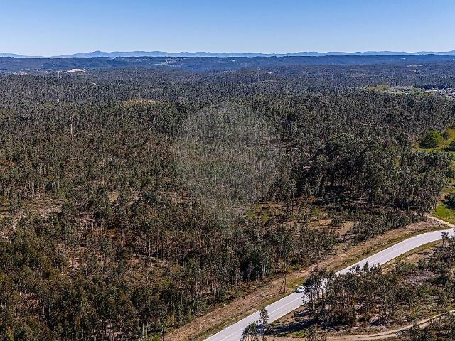 Terreno venda em Barreiro de Besteiros, Tondela