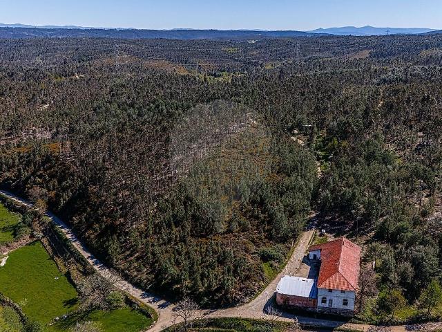 Terreno venda em Barreiro de Besteiros, Tondela