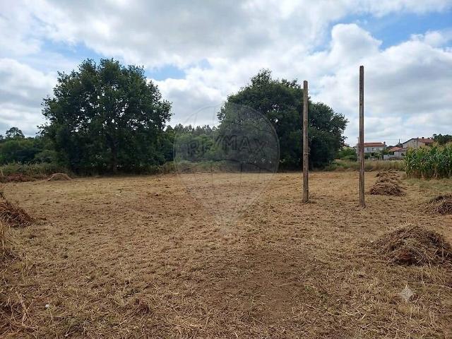 Terreno venda em Batalha