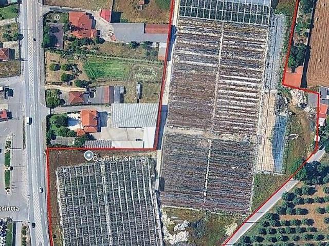 Terreno venda em Batalha