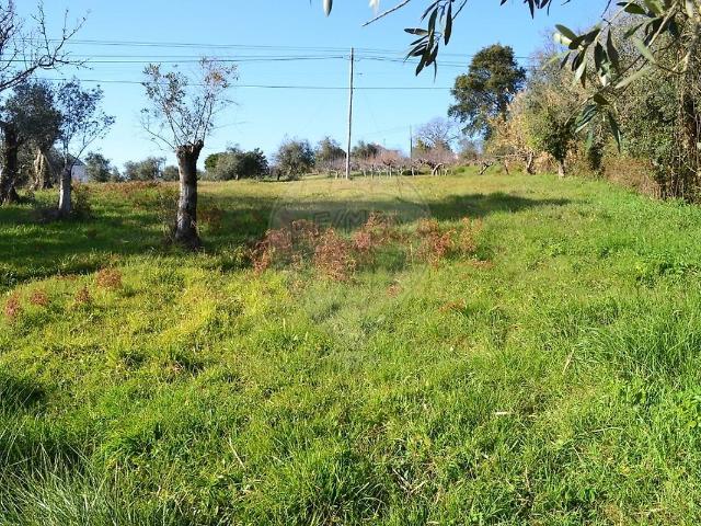 Terreno venda em Beco, Ferreira do Zêzere