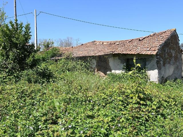 Terreno venda em Beco, Ferreira do Zêzere