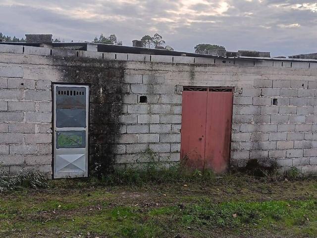 Terreno venda em Beijós, Carregal do Sal
