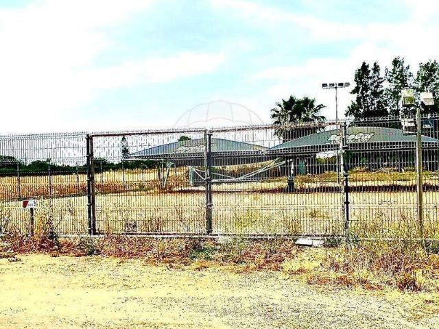 Terreno venda em Beja (Santiago Maior e São João Baptista), Beja