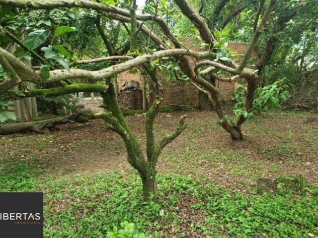 Terreno venda em Região Geográfica Imediata de Porto Alegre, Região Metropolitana de Porto Alegre