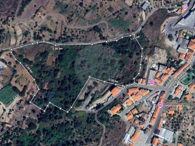 Terreno venda em Castelo Branco