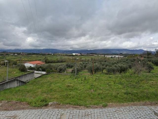 Terreno venda em Castelo Branco, Caria