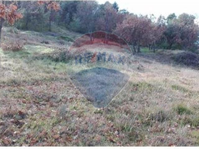 Terreno venda em Guarda