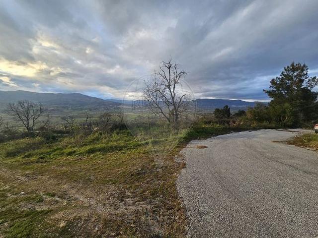 Terreno venda em Belmonte