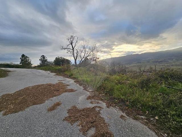 Terreno venda em Belmonte