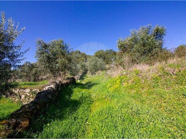 Terreno venda em Belmonte