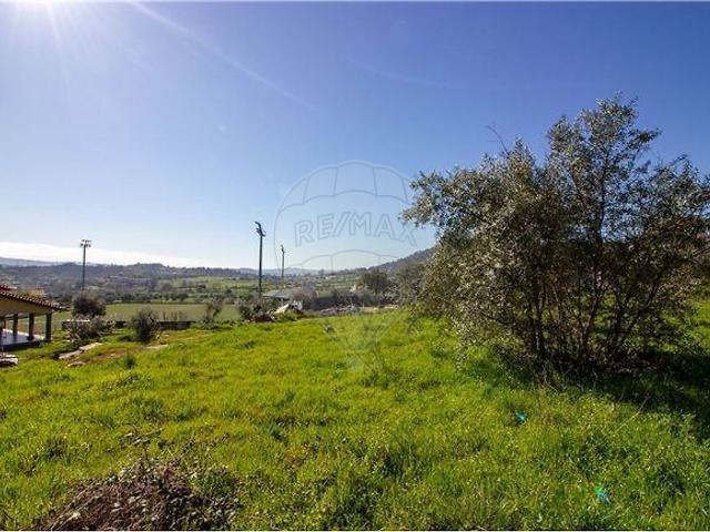Terreno venda em Belmonte